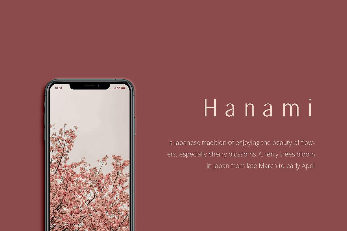 Amaryllis Sans preview 6