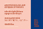 Nefilt - Unique Bold Font, a Font by Sarid Ezra (Thumbnail 9 of 9)