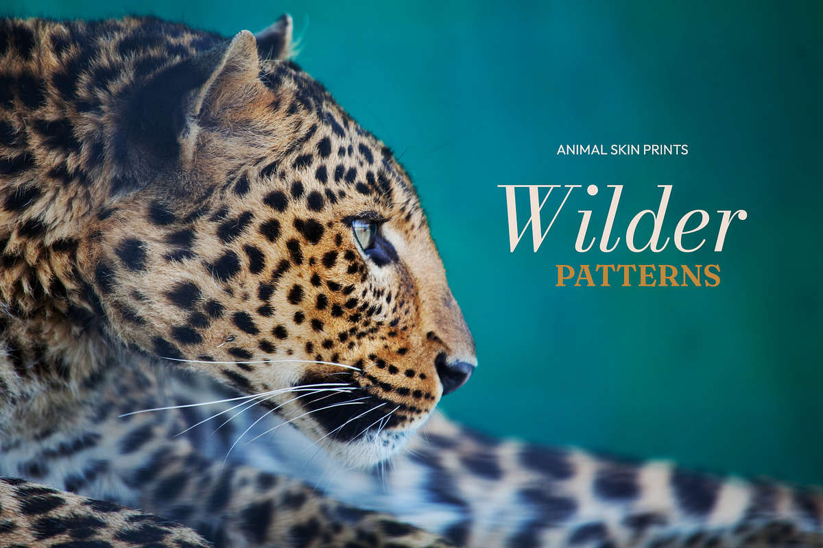 Wilder Patterns: 25 Animal Prints, a Pattern Graphic by IuliiaSavko (Photo 17 of 17)