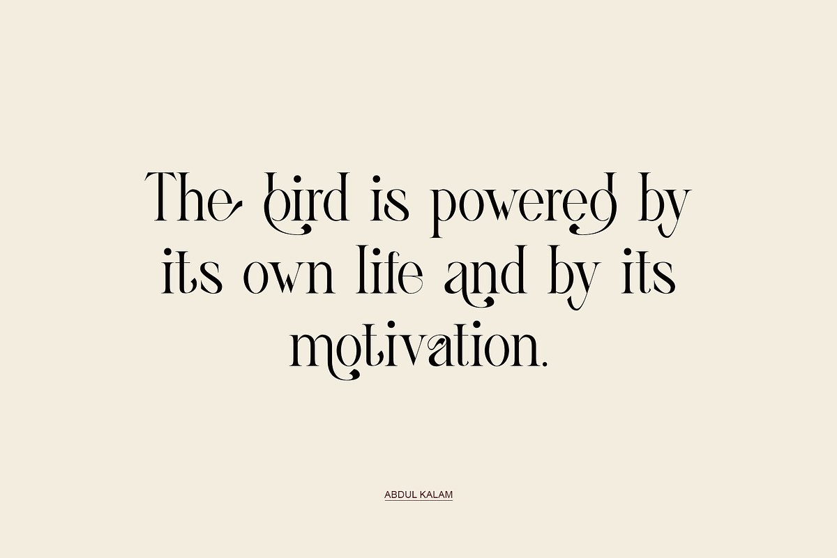 Ghina Ligature Serif Typeface, a Serif Font by yaqublekker (Photo 3 of 10)