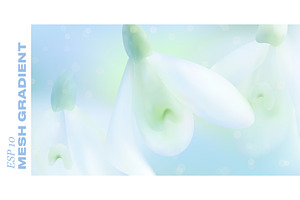 entle spring background features