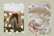 Petals Botanical Overlay Kit & Paper, an Object Graphic by Allure Art (Thumbnail 12 of 22)