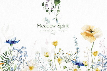 Meadow Spirit wild flowers set