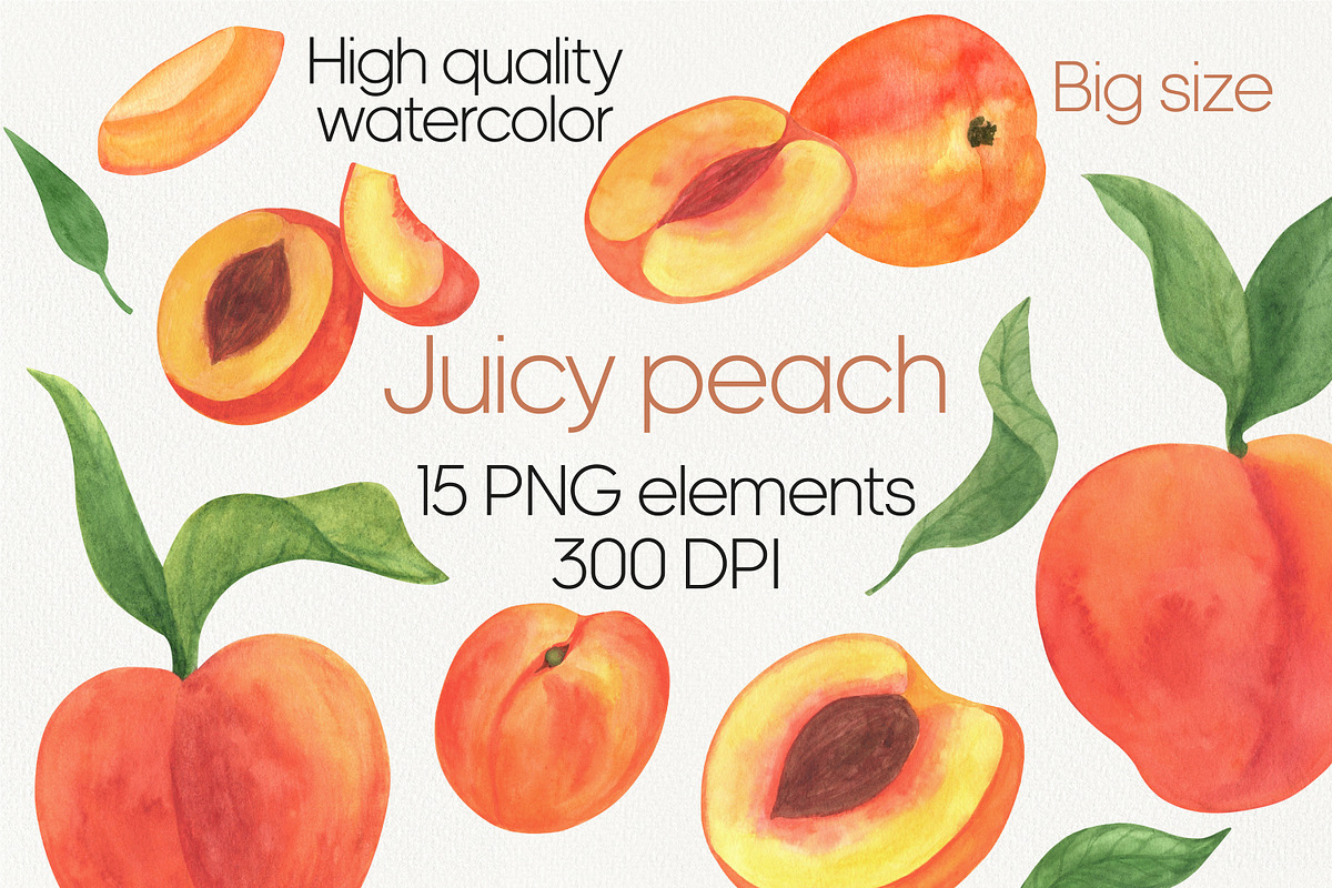 Peach fruit watercolor clipart PNG, a Food Illustration by Anntre (Photo 1 of 4)