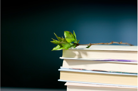 Stack of books with branch green, a School & Education Photo by IlliaBondarPhotography