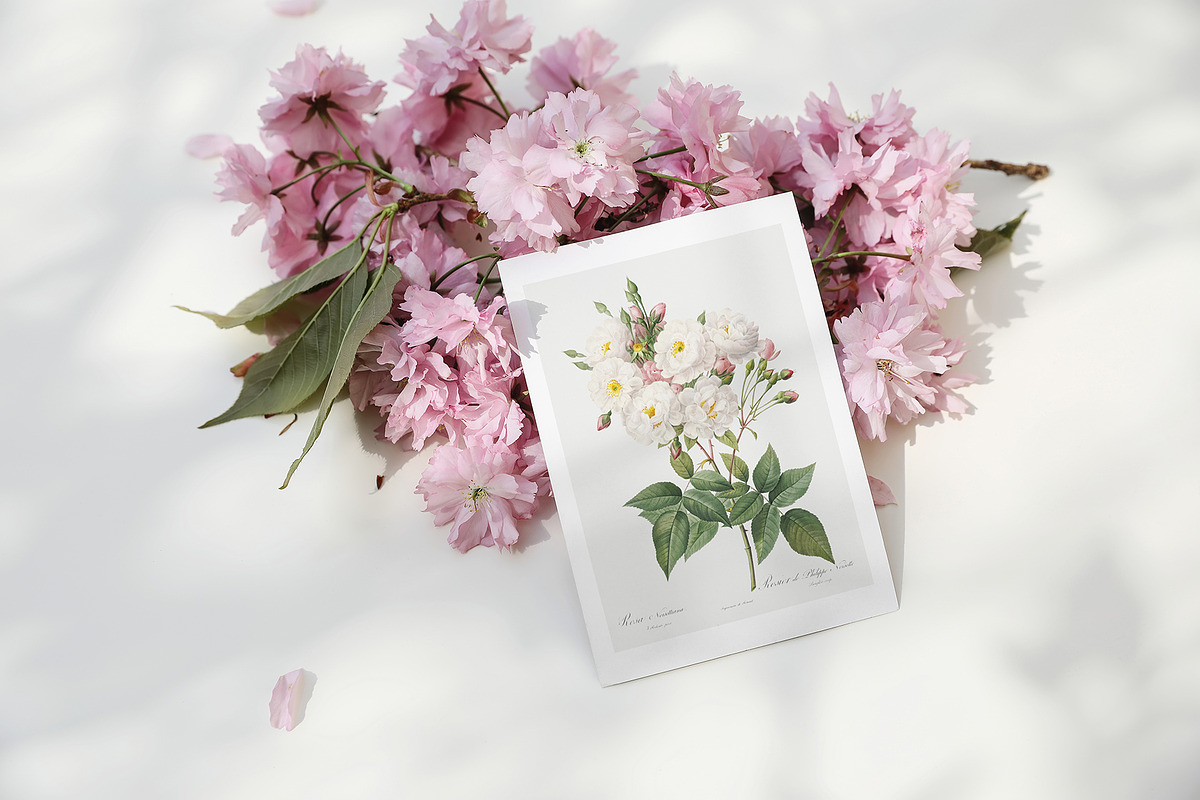 Spring Sakura mockups set, a Merchandise Mockup by Tabita's shop (Photo 3 of 9)