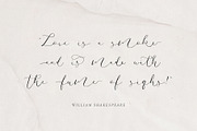 Amelie - Chic & Elegant Script Font, a Script Font by SilverStag Type Foundry (Thumbnail 17 of 23)