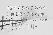 Sung-Jin font, a Script Font by TNE Designs (Thumbnail 3 of 5)