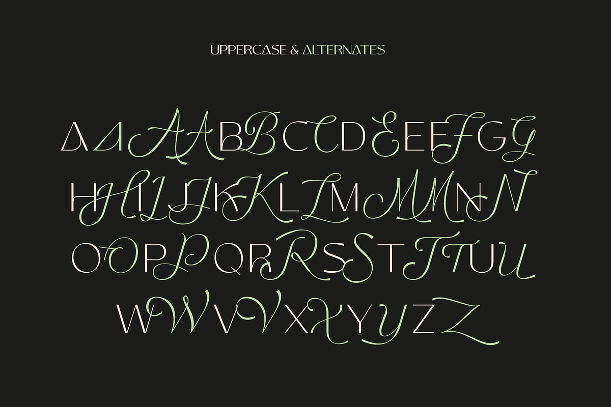 Mango Style - Modern Branding Font, a Font by creativemedialab (Photo 13 of 14)