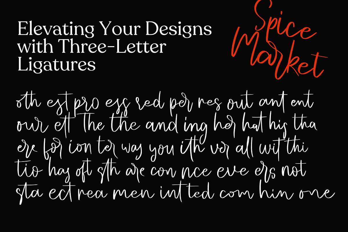 Spice Market, a Handwritten Font by BearyType Studio (Photo 8 of 8)