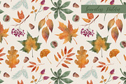 Fall Leaves | Cliparts & Pattern, a Decorative Illustration by OkPen (Thumbnail 3 of 5)