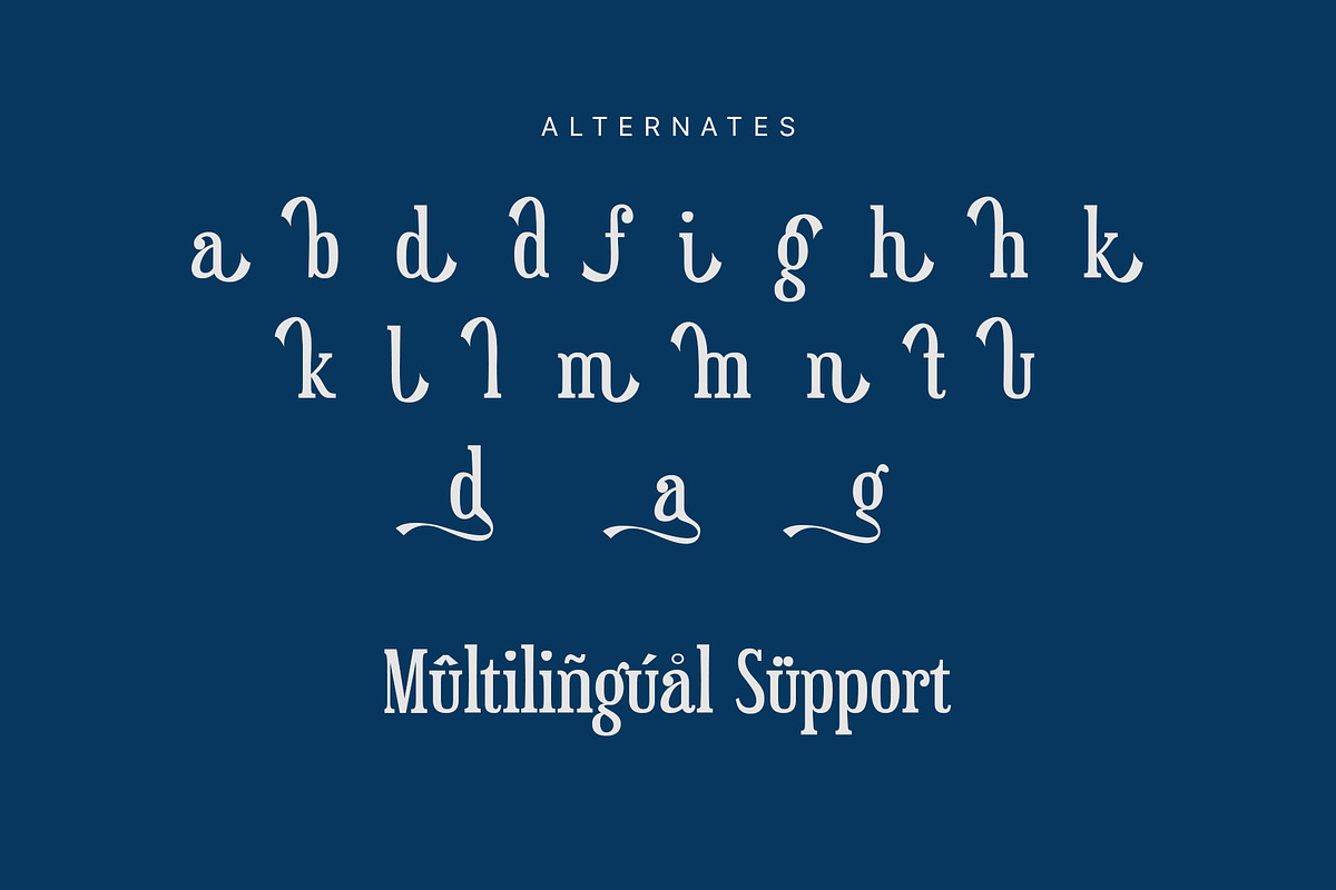 Bistage - a Modern Serif Typeface, a Serif Font by Kincrev Studio (Photo 10 of 11)
