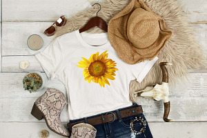 Summer Sunflowers Illustrations