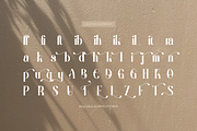 Bling Gilinira | Display Serif Font, a Serif Font by Denustudios (Thumbnail 15 of 15)