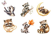 Watercolor Raccoon & Kit Clipart, an Illustration by CreationArt (Thumbnail 4 of 5)