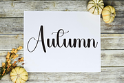 Solitude, a Handwritten Font by FreshTypeINK (Thumbnail 6 of 8)