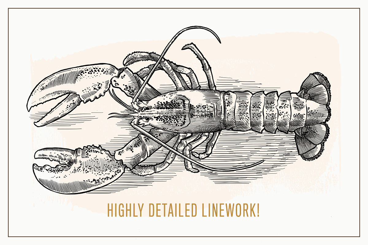 Hand Drawn Sea Critters Set, an Animal Illustration by Well Rock Designs (Photo 4 of 8)
