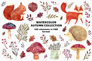 Watercolor autumn collection, an Animal Illustration by MoleskoStudio (Thumbnail 1 of 10)