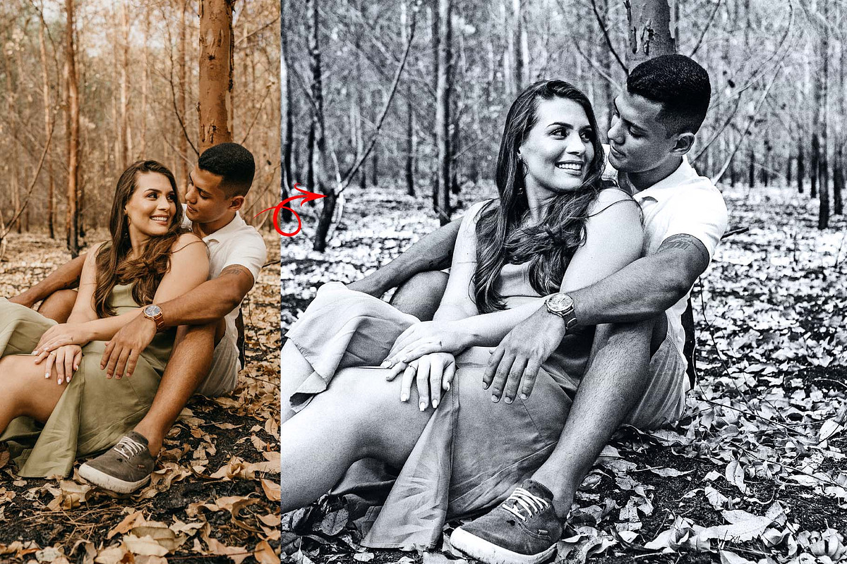 Silver Color Photoshop Action, an Action Add-On by MRI STUDIO (Photo 2 of 10)