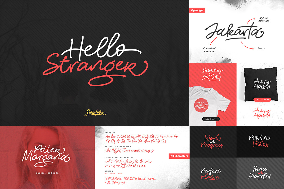 100+ Elegant & Timeless Font Bundle! preview 8