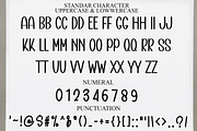 Millions, a Script Font by FreshTypeINK (Thumbnail 5 of 6)