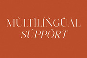 Harfine Modern Serif Font, a Serif Font by Letterena Studios (Thumbnail 12 of 15)