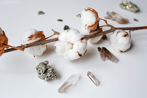 Cotton flower and crystals on table