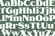 MC Supra Soft, a Serif Font by McLetters (Thumbnail 8 of 11)