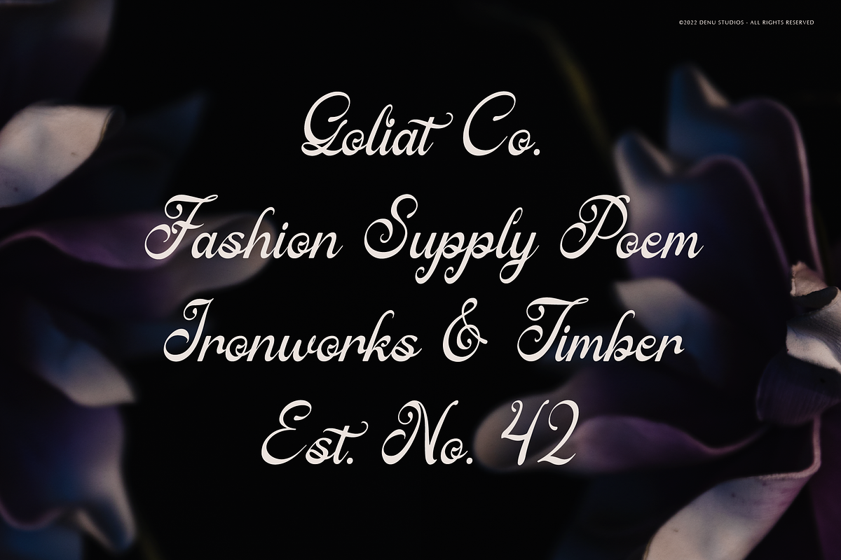 Ratfeylino | Elegant Calligraphy, a Script Font by Denustudios (Photo 9 of 12)