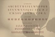 Magfire Hyena Modern Serif Font, a Serif Font by Storytype Studio (Thumbnail 14 of 15)
