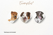 Ultimate 251 Dog PNG Pack, an Animal Photo by StudioByElevate (Thumbnail 3 of 4)
