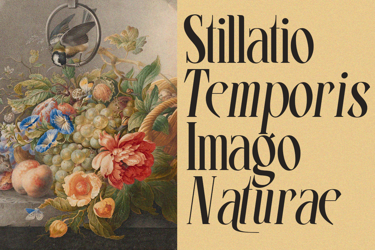Vrassco - Modern Display Serif, a Serif Font by Qweera Studio (Photo 3 of 12)