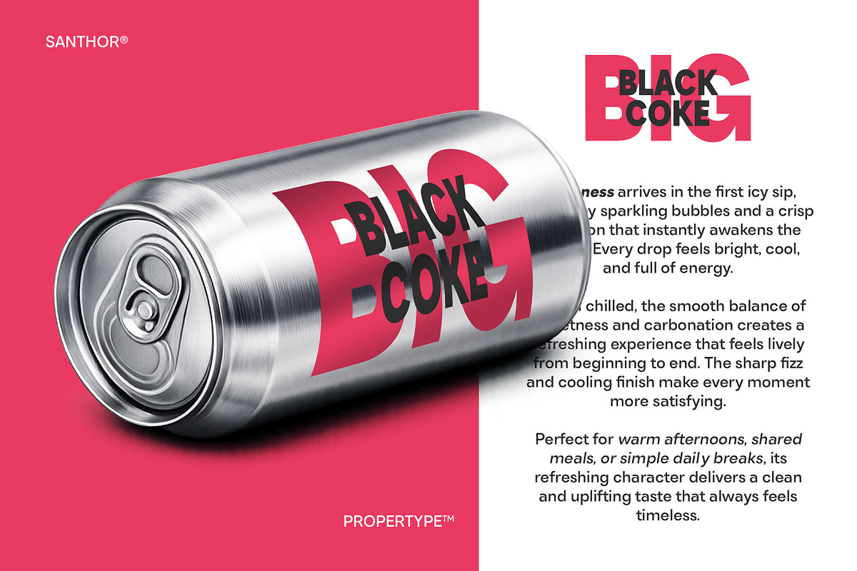 Santhor, a Sans Serif Font by Propertype (Photo 10 of 16)