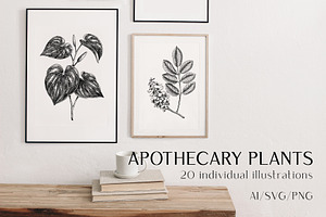 Apothecary Plants & Herbs Vector Set