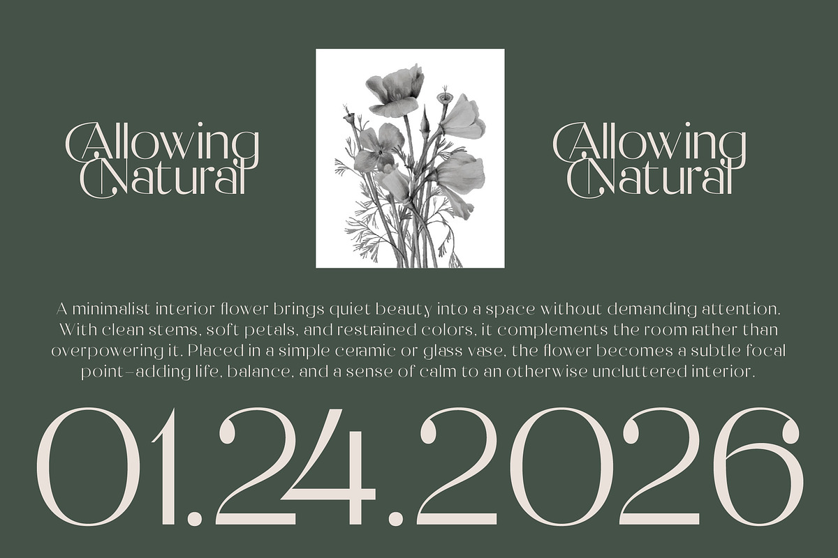 Raslera Modern Serif Display, a Sans Serif Font by timelesstype.co (Photo 6 of 20)