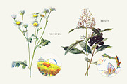 Vintge Flowers Vol.04 - Extra Large, an Illustration by Greta Ivy (Thumbnail 5 of 18)