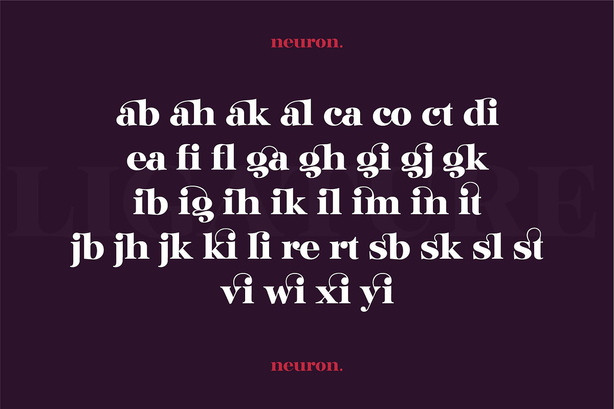 Glinde, a Serif Font by nurrontype (Photo 6 of 12)