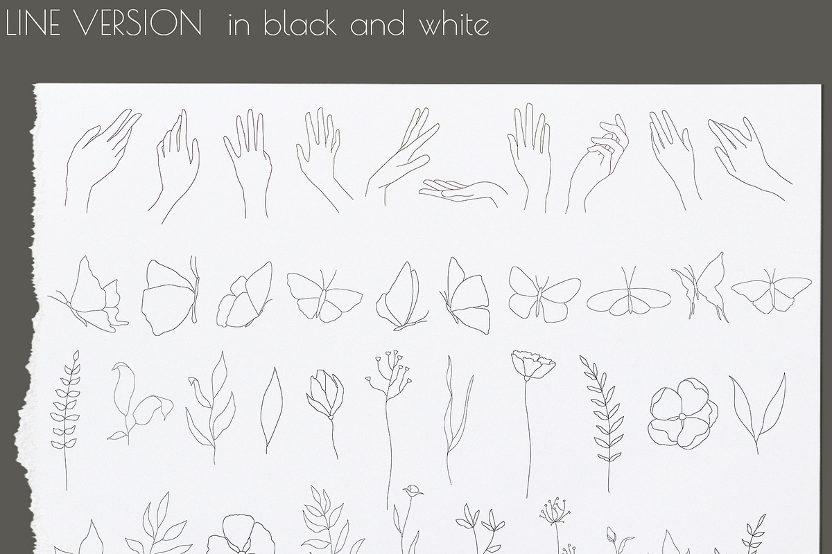 NATURE VIBES FLORAL COLLECTION, an Object Graphic by Andreen (Photo 10 of 17)