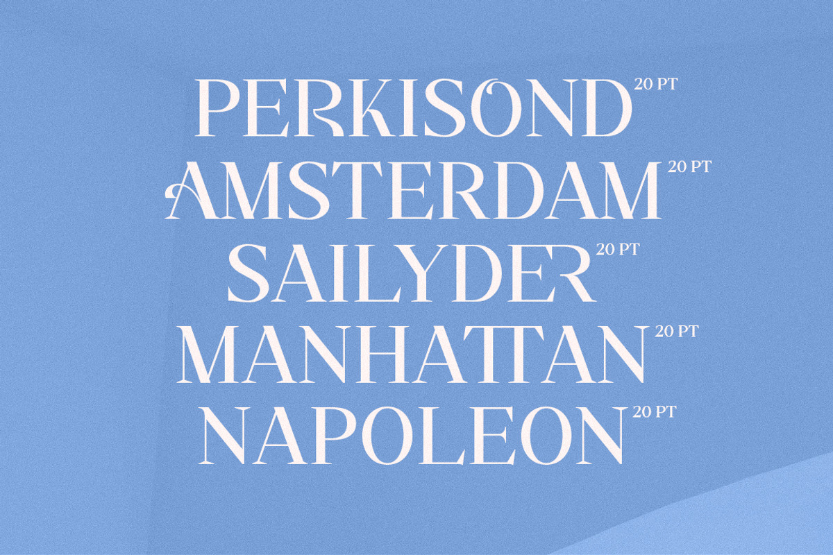 Savinder, a Serif Font by Dora Typefoundry (Photo 3 of 13)