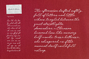 Birds & Honné Romantic Handwritten, a Handwritten Font by Perplexitics (Thumbnail 10 of 10)