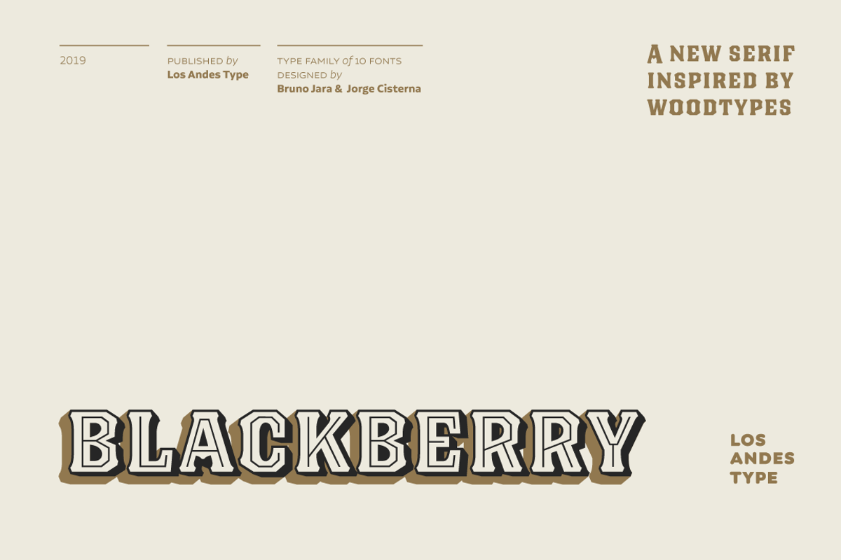 Blackberry - Family 30% off, a Sans Serif Font by Los Andes Type (Photo 1 of 13)