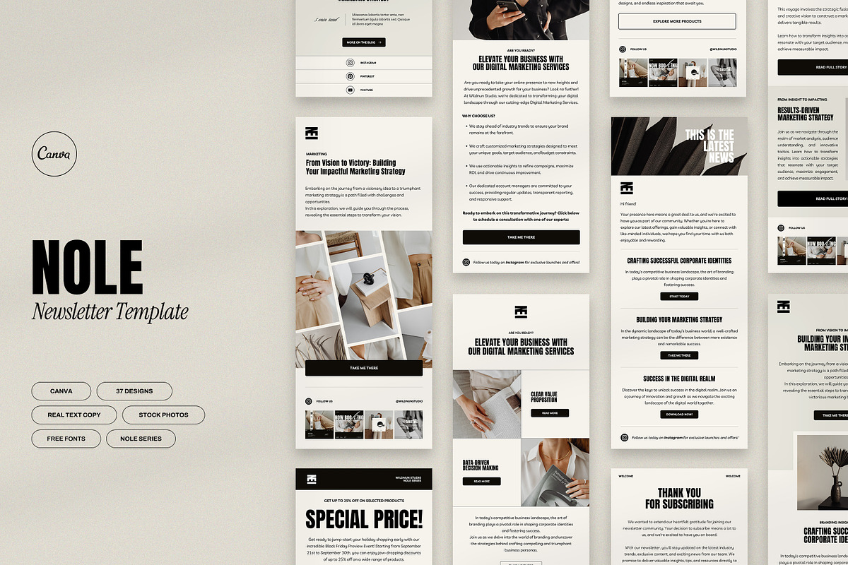NOLE / Newsletter Template, an Email Template by Wildnun Studio (Photo 1 of 19)