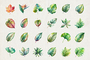 60 Watercolor Leaves Illustrations, a Decorative Illustration by Riswan Ratta (Thumbnail 2 of 5)