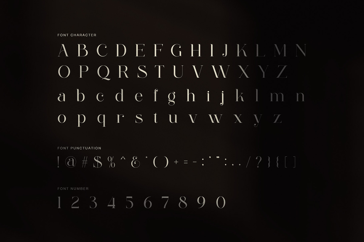 Aldiner Elegant Serif Font, a Serif Font by Perfectype (Photo 7 of 8)