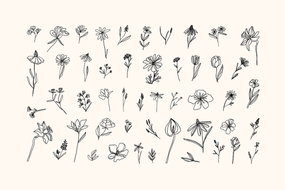 Elegant Botanicals | 100% Hand drawn, a Decorative Illustration by Olia (Photo 4 of 14)