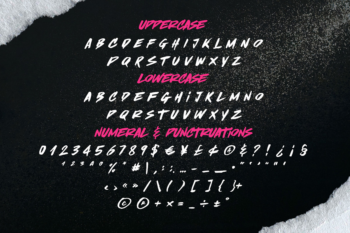 Brushlinerz - Expressive Brush Font, a Handwritten Font by Variatype (Photo 7 of 8)