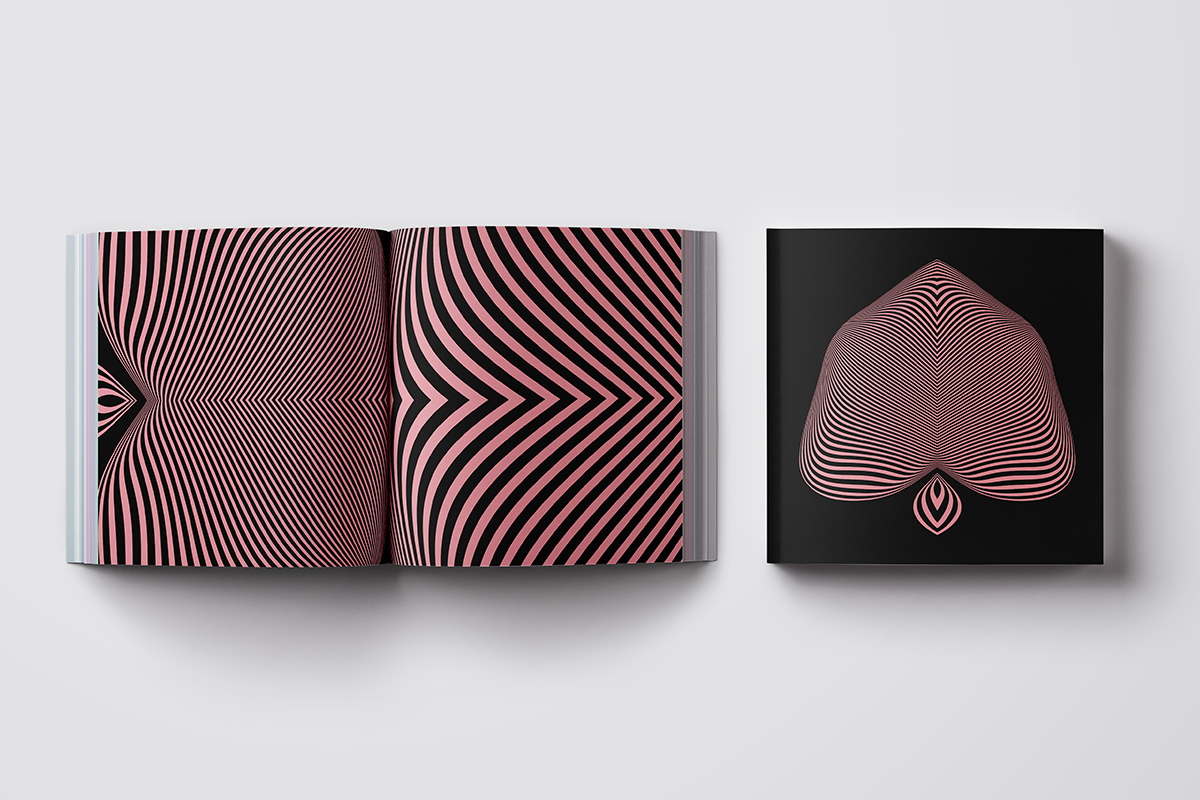 75 Warped Vectors, an Object Graphic by Texture Fabrik (Photo 7 of 14)