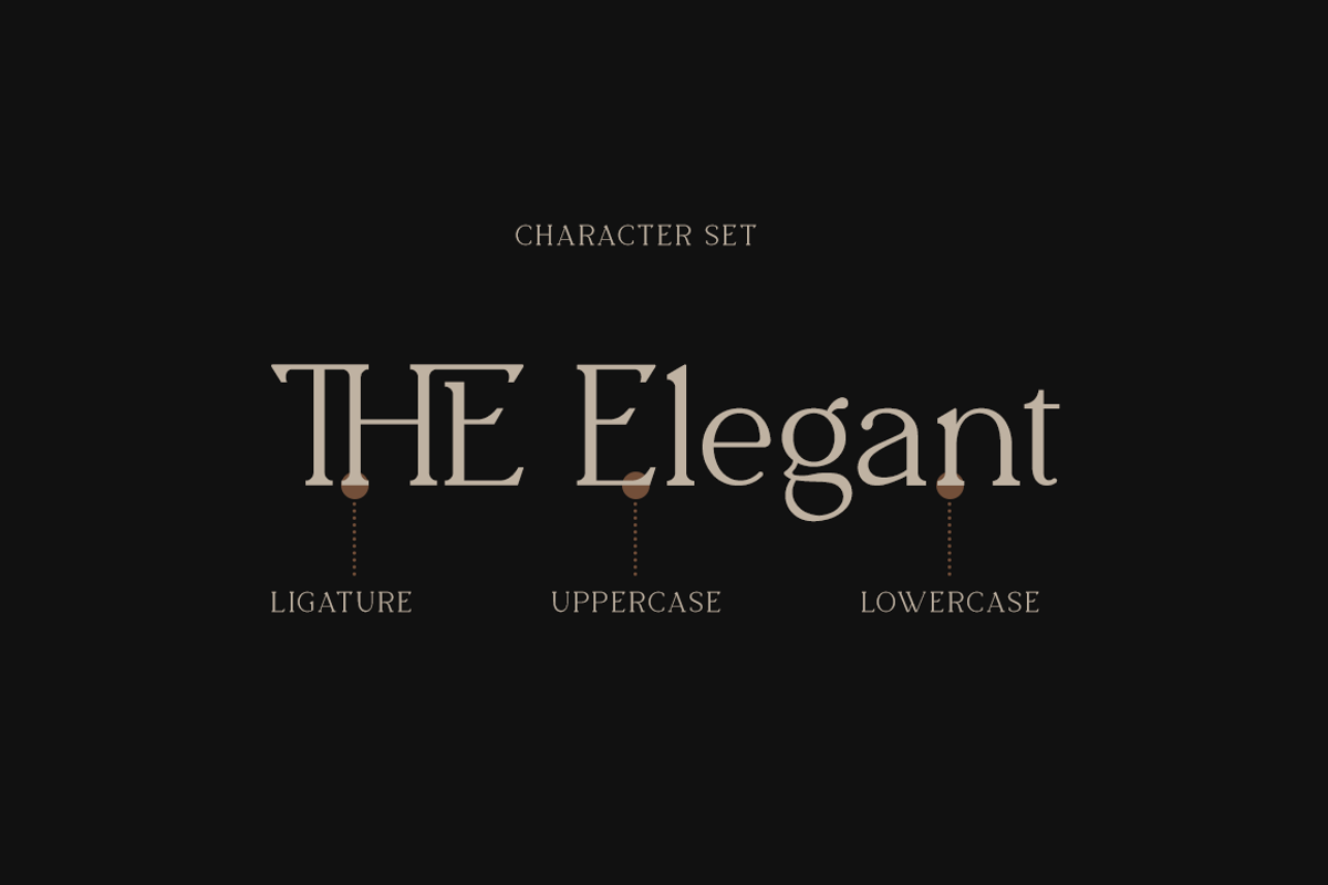 The Blinders - Elegant Serif Font, a Serif Font by RockboyStd (Photo 10 of 12)