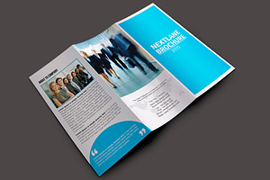 Trifold Multipurpose Brochure