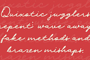 CS Lydia Drawn, a Script Font by Craft Supply Co. (Thumbnail 7 of 8)